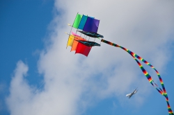 Vesterlyng Drage Festival