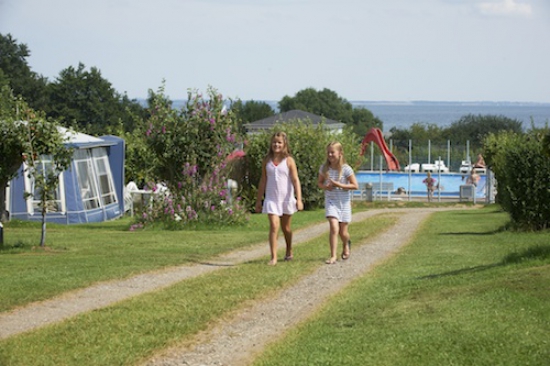 25 �r blandt �bler, fortelte og glade g�ster