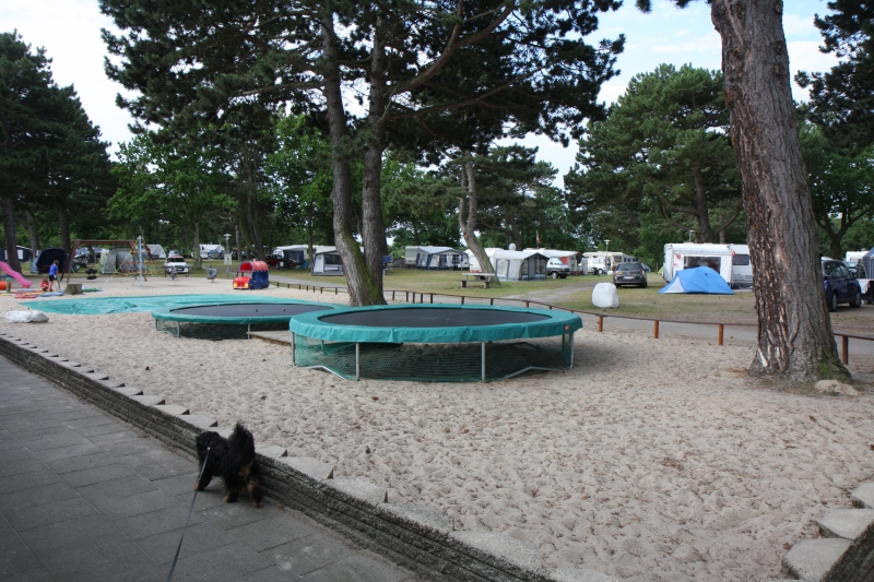 Galløkken Strand Camping - Legeområde