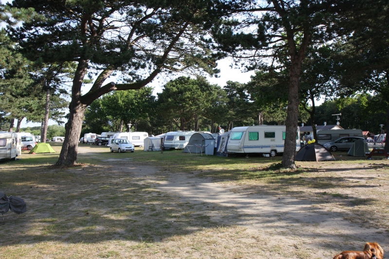 Galløkken Strand Camping - Skøn natur på og omkring pladsen