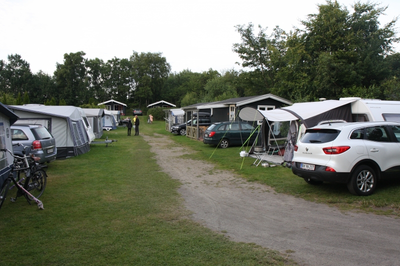 Lyngholt Familie Camping - Campingområde