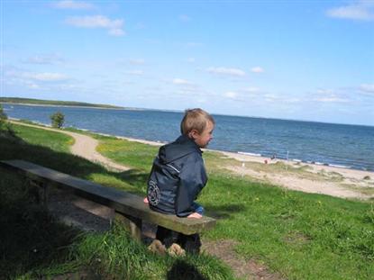 Pladsen ligger ud til en dejlig badestrand ved Limfjorden og er honoreret med det blå flag. Bagest i billedet kan man ane Danmarks ældste stykke uberørt skov.