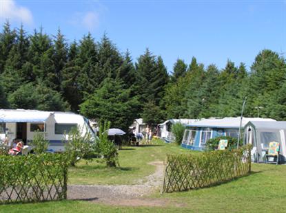 Afvekslende og hyggeligt campingareal med gode plane pladser.