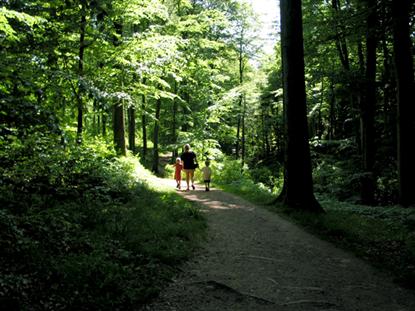Skovene ved Skamlingsbanken ligger kun en rask gåtur fra pladsen.