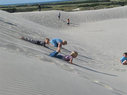 Råbjerg Mile er et sikkert hit! Her kan ungerne bruge timer på at tumle i det bløde sand, og et imponerende naturfænomen det er det!